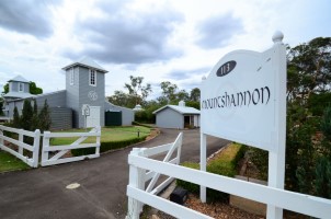 Mountshannon picture DSC_5749